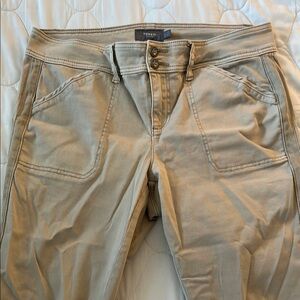 Torrid Tan Aviator Casual Pants